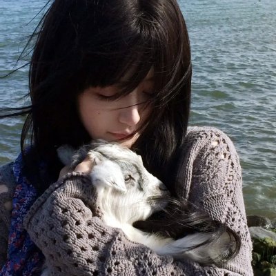 宫心计2深宫计国语